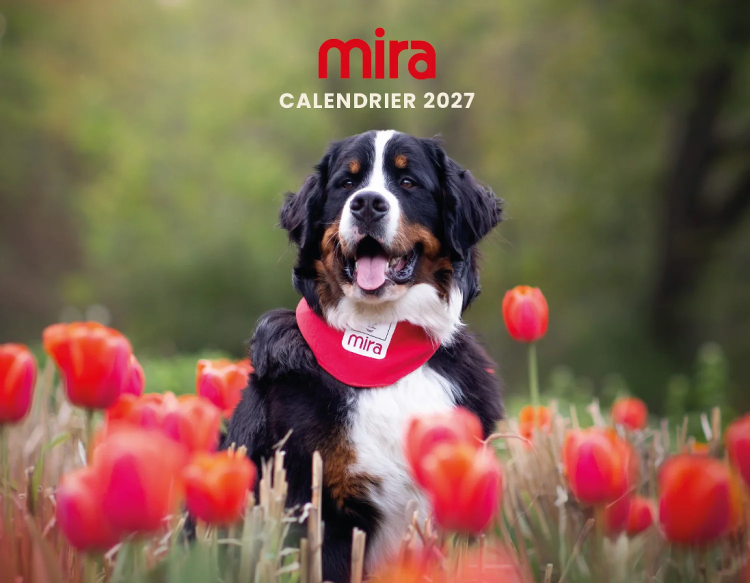calendrier-mira-2027.png