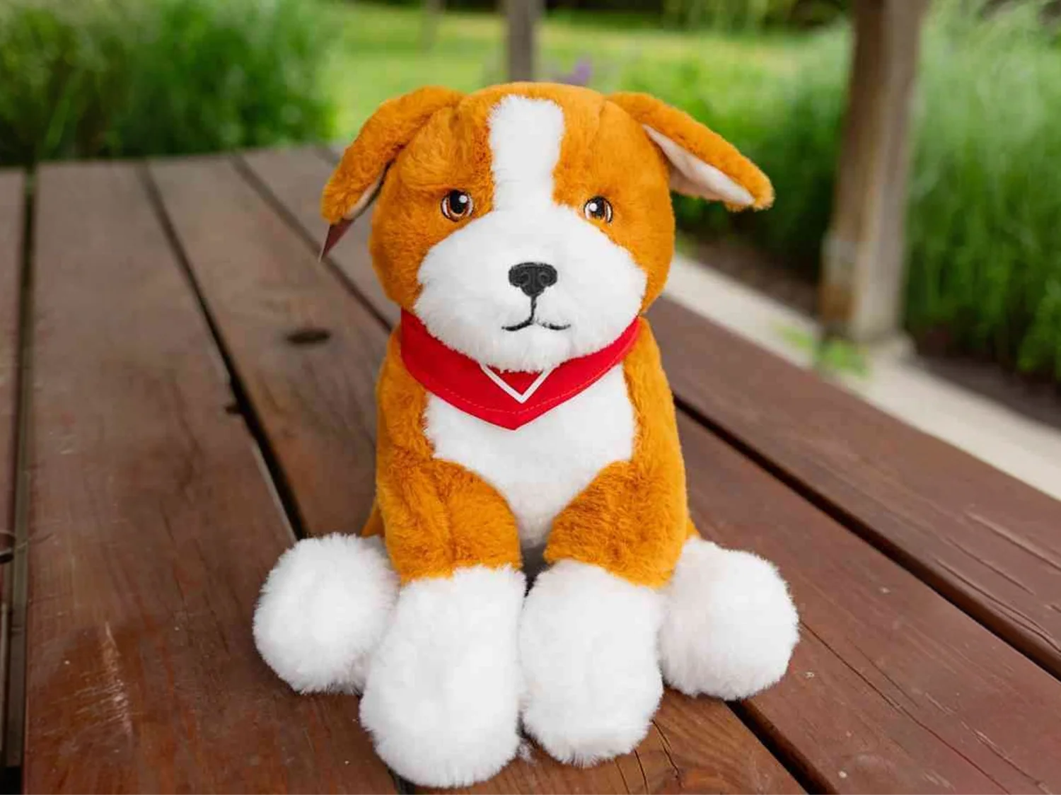 peluche-caramel-1-(1).png